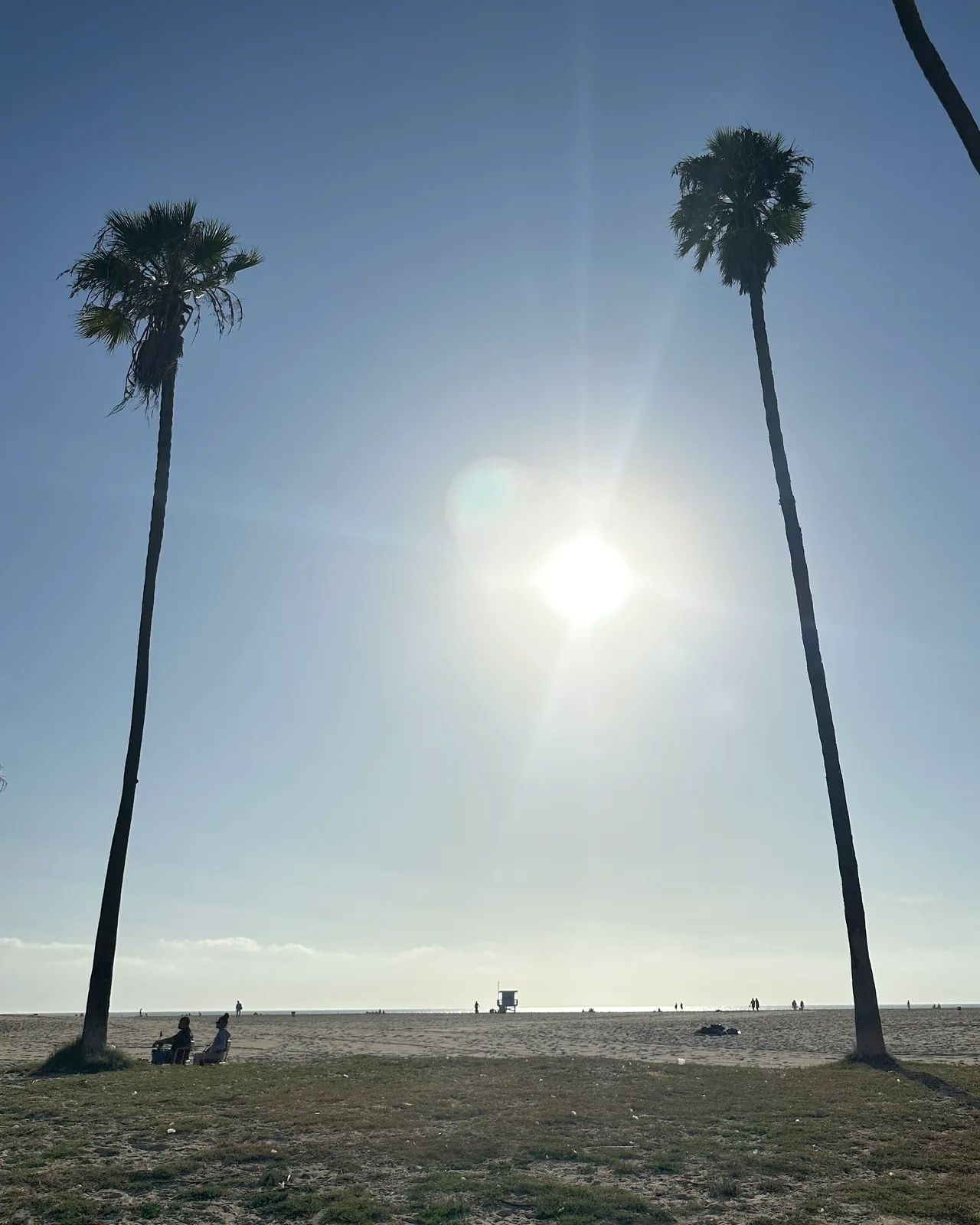 Hohe Palmen am Strand von Santa Monica / Venice Beach im Gegenlicht